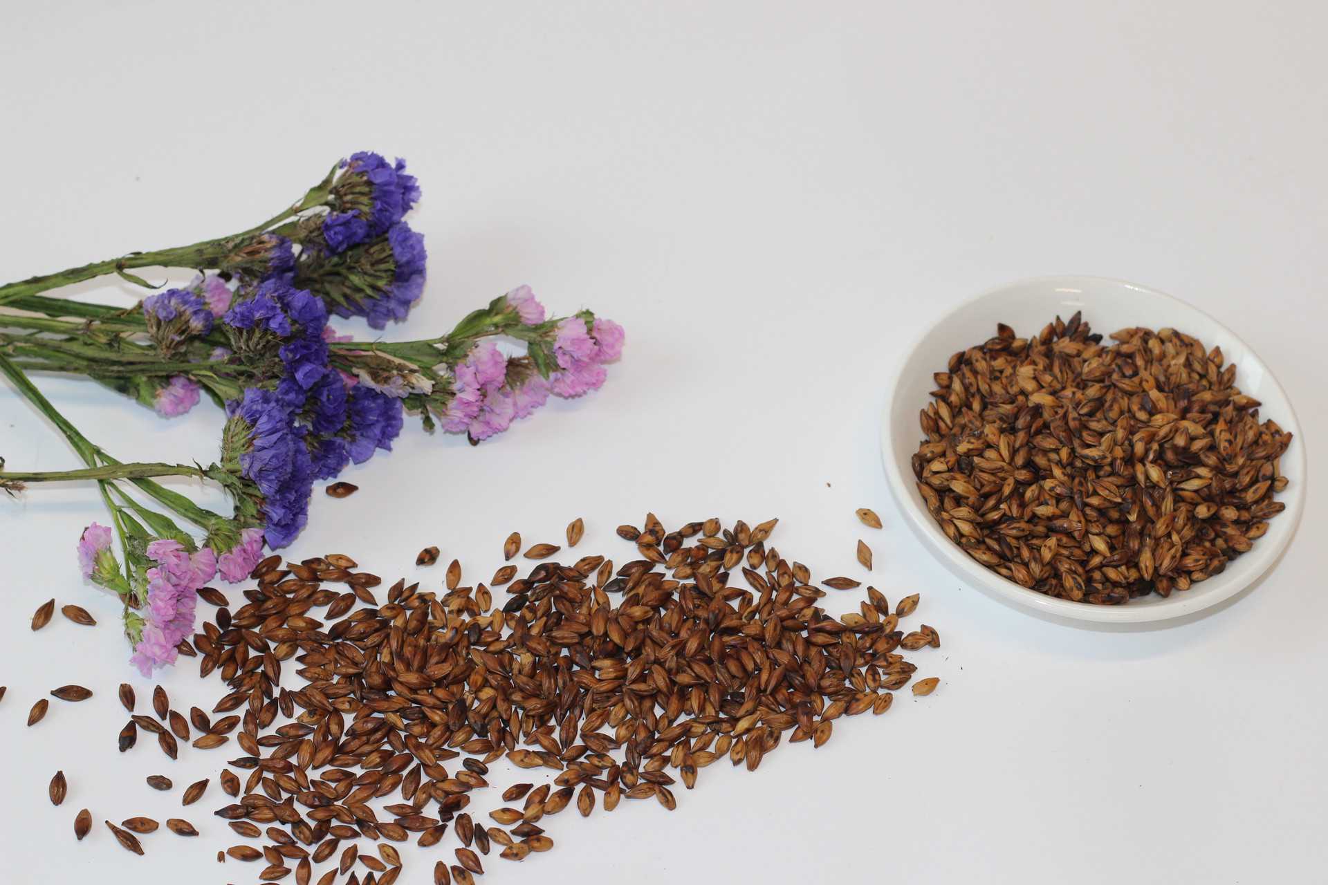 供卵生子医院-喝大麦茶的禁忌